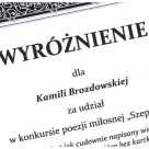 Dyplom - Kamila Brozdowska